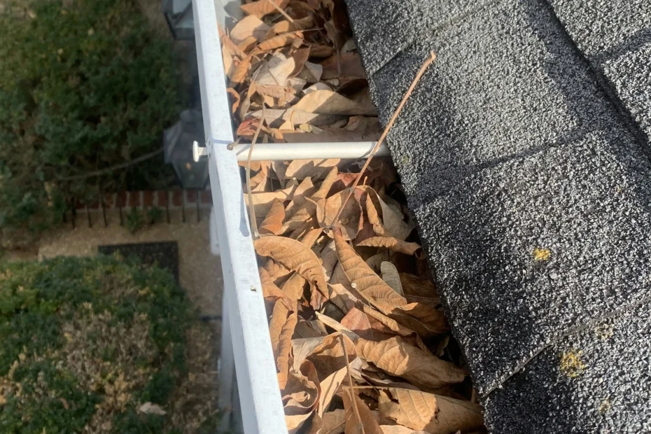 Gutter Cleaning Tobaccoville